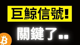 比特幣拉漲後小幅度回踩! 現貨ETF持續流入! 大鯨魚跟散戶再次完全相反的操作..! 接下來的需求是關鍵! [字幕]