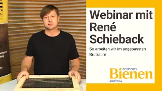 Webinar mit René Schieback von der Sächsischen Imkerschule: So arbeiten wir im angepassten Brutraum