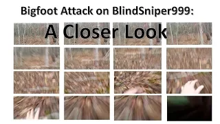 Bigfoot Attack on BlindSniper999:   A Closer Look