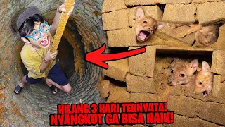 Nekat Nyelamatkan Anjing yang Hilang Meminta Tolong! Yang Terjadi Selanjutnya Diluar Dugaan...