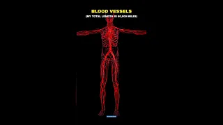 Earth vs Blood Vessels 😱👽 #shorts #space #earth #universe