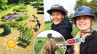 Hier gaan wij op PAARDENVAKANTIE & Marley testen op CUSHING?! | felinehoi VLOG #609