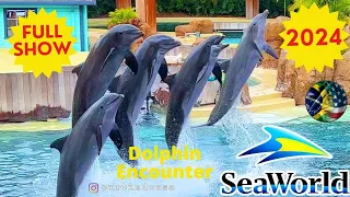 Full Show - Dolphin Adventures Show SeaWorld Orlando 2024