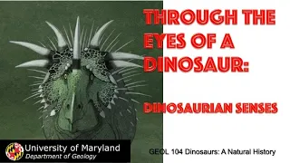 Lecture 29 Through the Eyes of a Dinosaur: Dinosaurian Senses