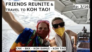 CHIANG MAI ➡️ ISLAND PARADISE! Cag & Flame go to Koh Tao: Ep. 3/16