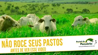 Não roce seus pastos, antes de ver esse vídeo.