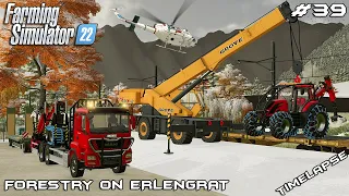 Buying Valtra T Series FOREST TRACTOR | Forestry on ERLENGRAT | Farming Simulator 22 | Episode 39