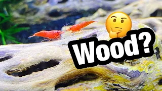 Cholla Wood in Shrimp Tanks? Benefits?