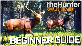 The Hunter Call of the Wild Tips and Tricks for Beginners!