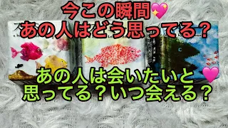 今この瞬間🩷あの人はどう思ってる？💭💘あの人は会いたいと思ってる？いつ会える？👫💓タロット占い🔮スイミー🐟