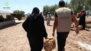 Potatoes Distribution In Syria ~ August 2021