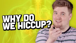 Why Do We Hiccup?