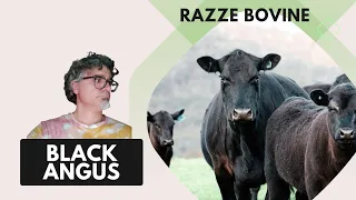 La Black Angus