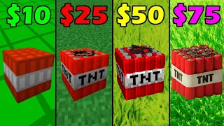 minecraft tnt for 0$ vs 10$ vs 25$ vs 50$ vs 100$