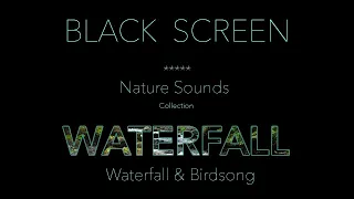 Forest Waterfall Nature Sounds-Black Screen Relaxing Birdsong-Sleep Sound Birds Singing Dark Screen