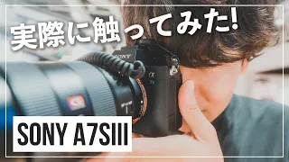 実機を触ってわかった！Sony α7SIIIの良いところ悪いところ【撮影サンプルあり】