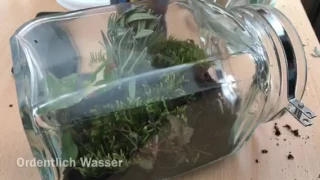 Ewiges Terrarium