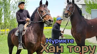 убакыт келди ХАН ТОРУ чыкты Нурикте