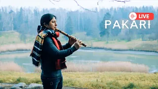 Pakari(Yupanki) - Relaxing Native Music/Quena