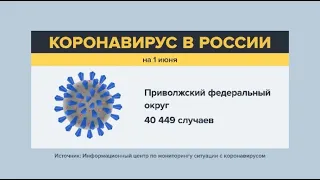 В Поволжье выявлено 10% от всех случаев COVID-19 по России