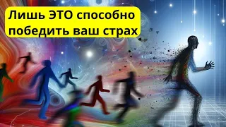 Как избавиться от страха или чего боится страх