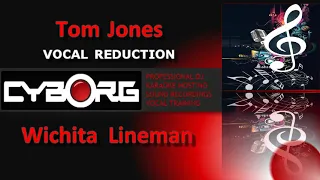 READ DESCRIPTION - Tom Jones Wichita Lineman Version VOICE REDUCTION TRACK