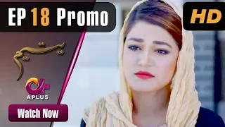 Pakistani Drama | Yateem - Episode 18 Promo |  Aplus | Sana Fakhar, Noman Masood, Maira Khan| C2V1