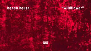 Beach House - Wildflower