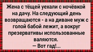 Как Жена с Тещей На Дачу Уехали! Сборник Свежих Анекдотов! Юмор!