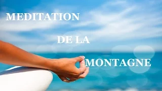 Vers une vie sereine: Méditation de la montagne (Méditation de Christophe André)