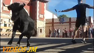 Encierro Calles Jadraque (17-09-22)