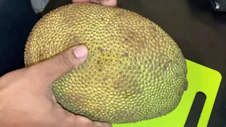 How to eat Jackfruit-National fruit of Bangladesh