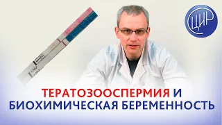 Тератозооспермия и биохимическая беременность. Есть ли связь? Андролог ЦИР, к.м.н., Живулько А.Р.