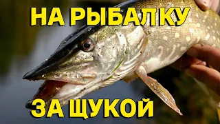 РЫБАЛКА | ОТДЫХ НА ПРИРОДЕ