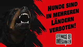 Hunde sind in mehreren Ländern verboten!