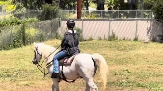Fast Track Horseback Lessons-Western Video 2