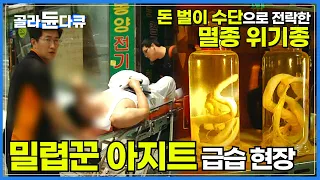 "영장 가져와!" 대놓고 증거 인멸에 도주 시도 까지|전문 뱀 밀렵꾼의 아지트에 급습해봤더니...|멸종 위기 구렁이마저 무분별하게|충격적인 밀렵의 실체|하나뿐인지구|#골라듄다큐