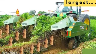 Peanut Harvesting Machine-How to Harvest Peanut- Modern Agricultural Technology /