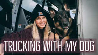 Trucking With My Dog! | A Day In The Life Of An OTR Trucker