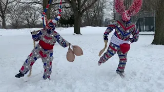 Lechones de Santiago jugando en la nieve desde New York