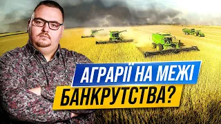 Що насправді коїться в агросекторі України?