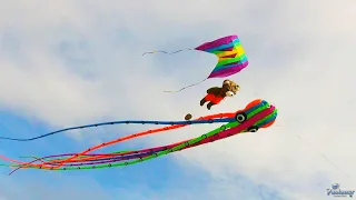 IX Festival of kite «Easy to Fly!» (2020)