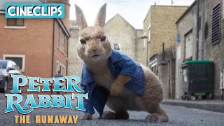 Peter Rabbit 2: The Runaway Trailer - James Corden, Domhnall Gleeson | Peter Rabbit 2 | CineClips