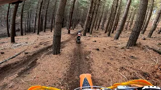 Hawarden Forest Trail Ride, Canterbury, New Zealand 25-7-2021