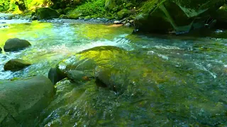 Relaxing mountain river view with healing natural sound.