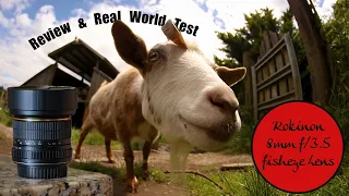 Rokinon 8mm f/3.5 Fisheye Lens Review + Real World Test!