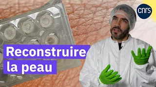 Une peau de labo | Reportage CNRS