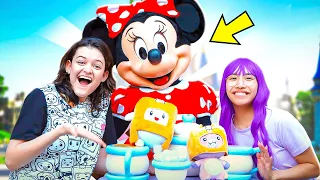 CRAZIEST THEME PARK VIDEOS EVER! (LANKYBOX SISTERS RIDE EVERY DISNEYLAND RIDE?!)