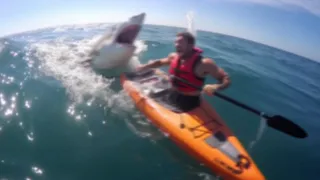 If You're Scared Of Sharks, DON'T Watch This Video