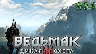 Упражнения в высшей алхимии | The Witcher 3 ⏯ #54